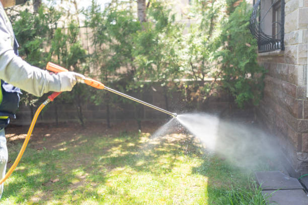 Best Pest Exclusion Services  in Coto De Za, CA